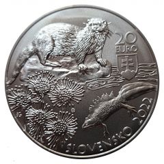 20 Euros Kysuce