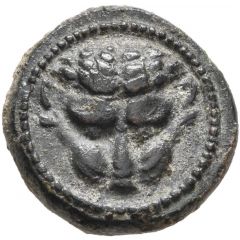 Onkia