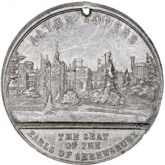 Medal - Victoria Alton Towers