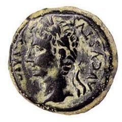 Semis - Augustus