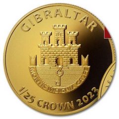 1/25 Crown Black Madonna