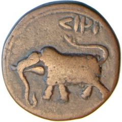 Paisa - Tipu Sultan Farrukhi mint