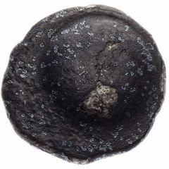 Drachm Folkusova Type