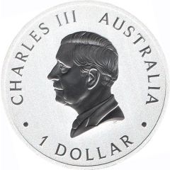 1 Dollar - Charles III 1st Portrait - Australian Brumby - Coloured