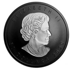 50 Dollars - Elizabeth II Incuse Silver Maple Leaf