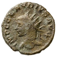 Antoninianus - Claudius II Gothicus SALVS AVG, Apollo