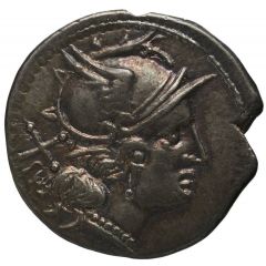Denarius Owl, ROMA