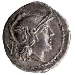 Quinarius Roma, ROMA