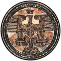 100 Zlotys Mikołak Kopernik, Trial Strike Ag without nominal value on reverse