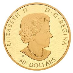 30 Dollars - Elizabeth II Snowy Owl and Greater White-Fronted Geese