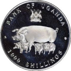1000 Shillings Year of the Pig