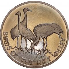 Birds of the Rift valley