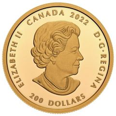 200 Dollars - Elizabeth II Forevermark Black Label Cushion