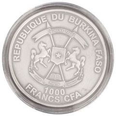 1000 Francs CFA Two young Elephants