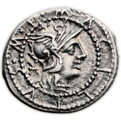 Denarius Acilia: Manius Acilius, M•ACILIVS•M•F• / ROMA