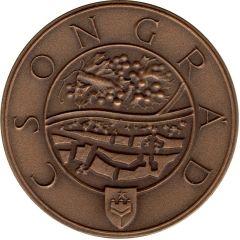 Medal - Szeged Tourist Csongrad