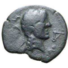 Semis - Augustus