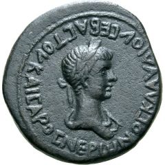 12 Units - Kotys I Nero
