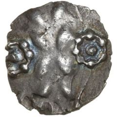 Silver Unit - Vepo Vepo Ring Pellet