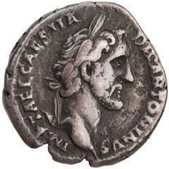 Denarius - Antoninus Pius AVG PIVS P M TR P COS II