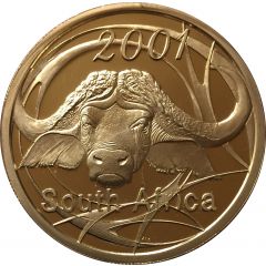 50 Cents Buffalo - Power of Africa