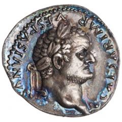 Denarius - Titus COS VI