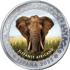 1.5 Euro African bush elephant
