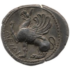 Tetradrachm - Meidi[...]