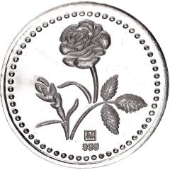 10 Grams Silver - Rose
