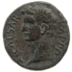 Æ23 - Tiberius L A FAVSTVS D C BASSVS IIVIR P P D D