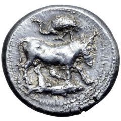 Tetradrachm