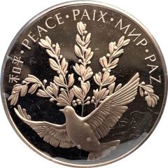 Medal - United Nations Peace