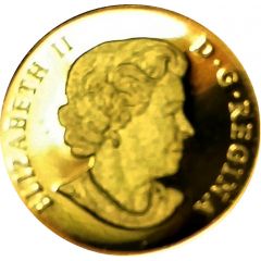 50 Cents - Elizabeth II Snowy Owl