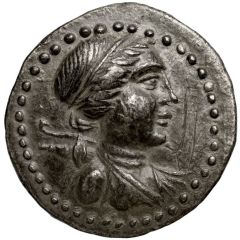 Tetradrachm - Antigonos