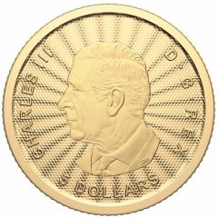 5 Dollars - Charles III The Majestic Polar Bears (Premium Bullion)