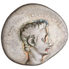 Denarius - Augustus AVGVSTVS