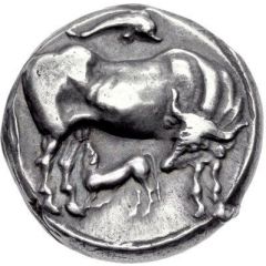 Stater