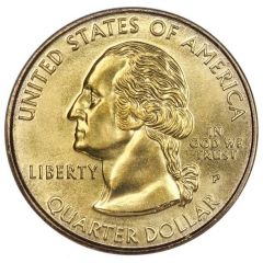 1/4 Dollar `Washington Quarter` Georgia, Pattern