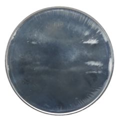 Medal - Monnaie de Paris - Mint Building