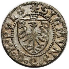 Szeląg gdański - Sigismund I the Old Gdańsk mint