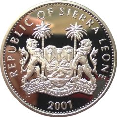 10 Dollars Colored Cheetah