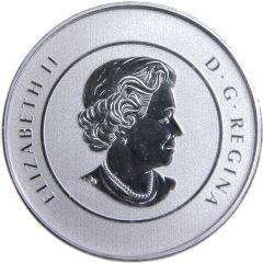 25 Dollars - Elizabeth II Winter Fun