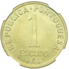 1 Escudo Pattern