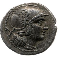 Denarius Anonymous, ROMA