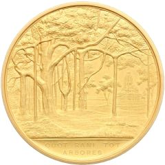 Award Gold RAS Medal