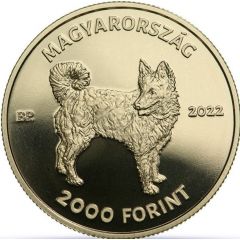 2000 Forint Mudi