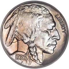 5 Cents `Buffalo Nickel` flat ground