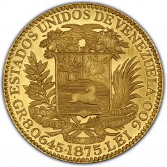 5 Venezolanos Essai