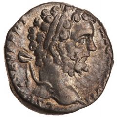 Denarius - Septimius Severus P M TR P III COS II P P, Fortuna