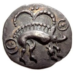 Silver Unit Crown Proto Boar type